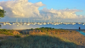 Une plage où de nombreux voiliers sont amarrés, une personne qui se promène sur le sable et un ciel nuageux.