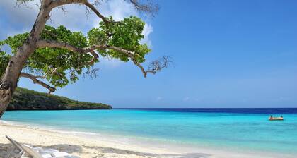 Amazing 360 views over the Caribbean Sea, 12 guests and private pool