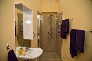 Secadora de cabello, toallas, jabón, shampoo