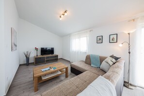 Fernseher, Kamin, DVD-Player, Bücher