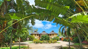 Un resort tropical con dos edificios tipo bungalow, rodeado de exuberante vegetación y un camino pavimentado que conduce a la entrada.