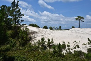 Eine Küstenlandschaft mit weißen Sanddünen, spärlicher Vegetation und wolkenlosem, blauem Himmel.