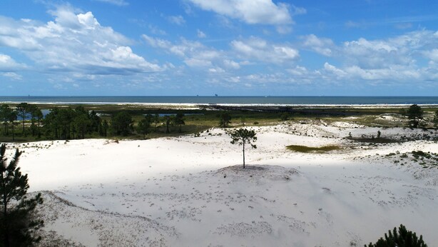 Een kustlandschap met een zandstrand, schaarse begroeiing en een helderblauwe lucht.