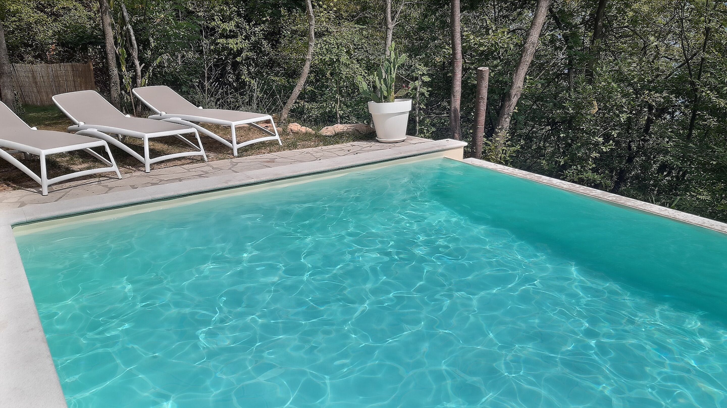 Piscina azul cristalina com espreguiçadeiras brancas e um vaso de planta.