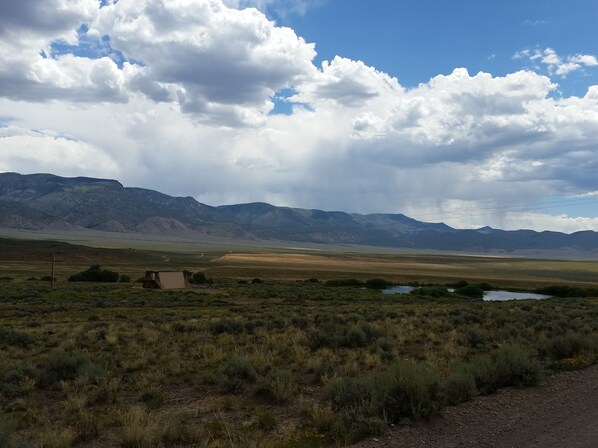 Uklassifisert bilde, 1 av 14, knapp