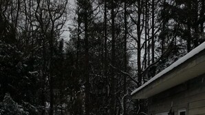 A snow-covered deck with a wooden railing, surrounded by trees and a building with a window and door.