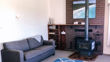 Televisión, chimenea, reproductor de DVD y libros