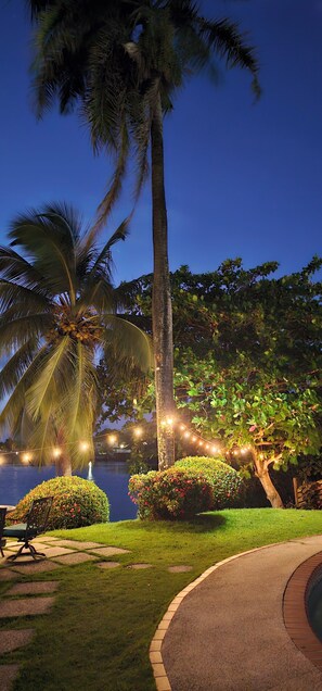 A landscaped garden with palm trees, a water feature, and string lights.