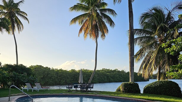A swimming pool with palm trees, a lawn, and a view of a body of water. - Spectacular Views at the Lakehouse Paradise!! (Toa Baja)