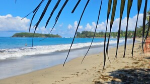 A beach with clear blue water, sandy shore, and palm leaves. - Spectacular Views at the Lakehouse Paradise!! (Toa Baja)