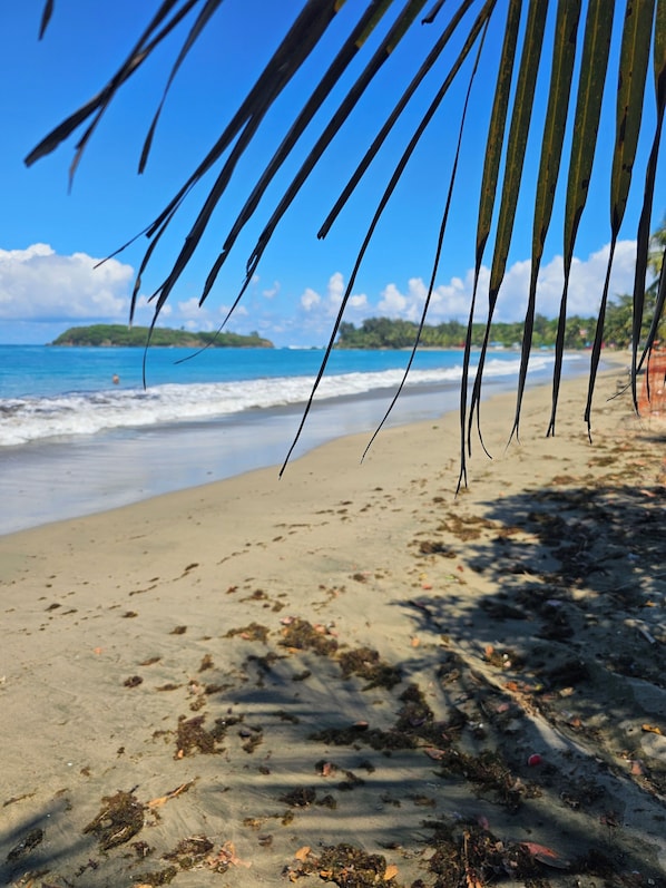 Tumbonas, sombrillas y toallas de playa