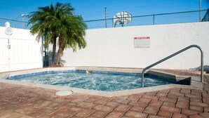 Ein Whirlpool mit einer Metallleiter, umgeben von einer Ziegelterrasse und einer Palme.