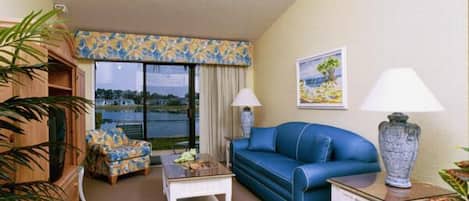 Flat-screen TV, DVD player