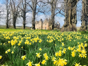 Property grounds - Historic 2000 Acre Country Estate near Troon & Prestwick with 13 bedrooms. (Hurlford)