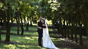 A couple embracing in a park with trees and grass. - Byron Hinterland Retreat - Honeymoon (Repentance Creek)