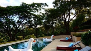 A swimming pool with swan-shaped floats and sun loungers along the edge. - Byron Hinterland Retreat - Honeymoon (Repentance Creek)