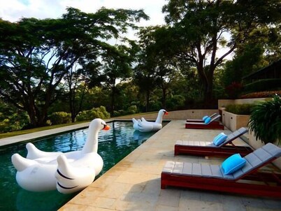 Byron Hinterland Retreat - Honeymoon Getaway