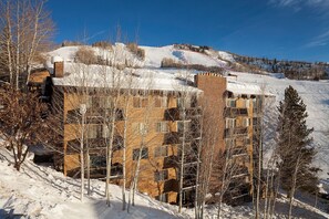 A multi-story building with a brick facade, surrounded by snow-covered trees and a clear blue sky.