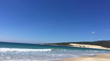 Serviettes de plage