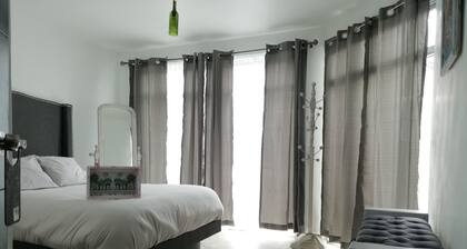 Casa Mexicana! Near malls and Zona Esmeralda, security and cleaning measurements