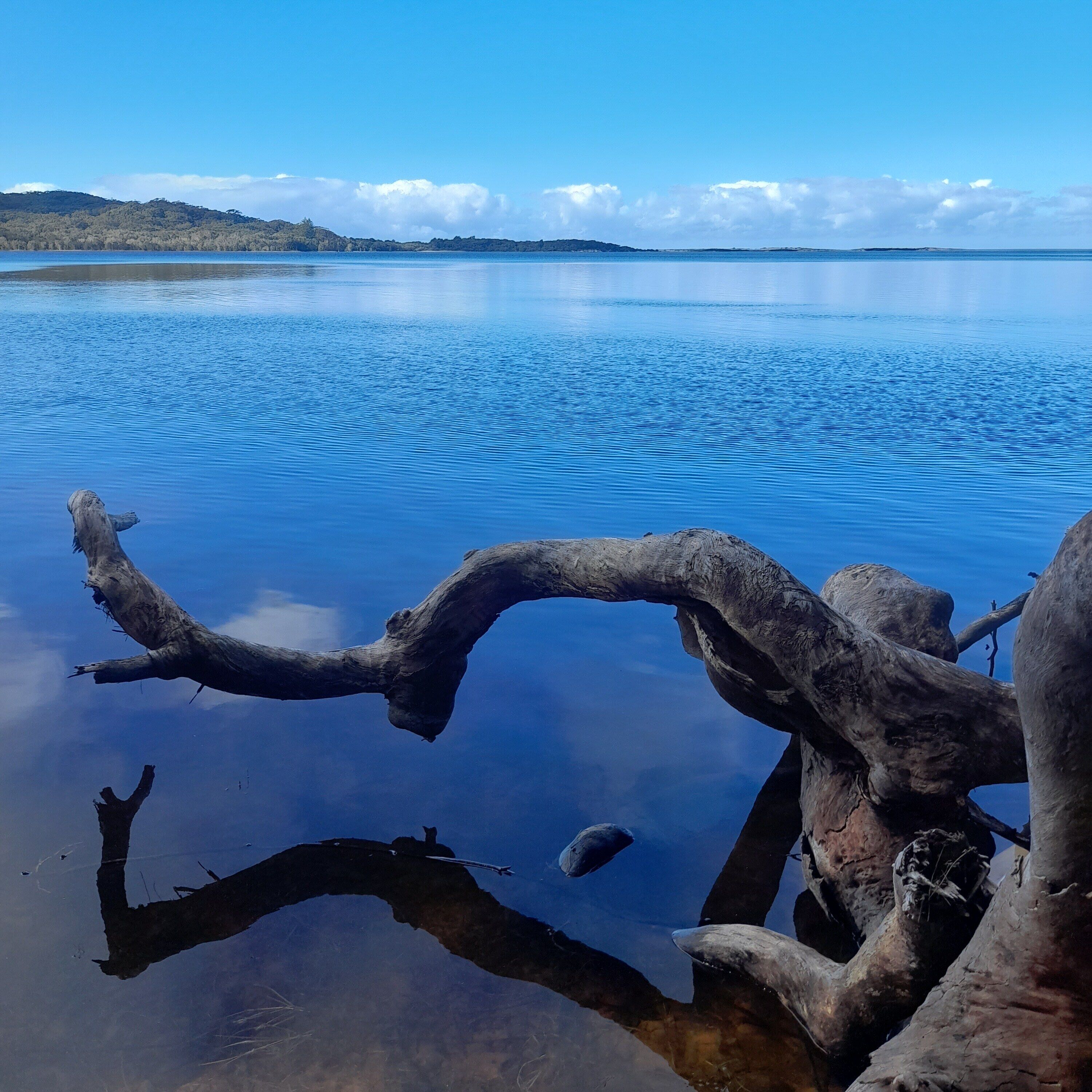 A calm lake with a clear sky and a distant mountain range.