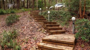 A wooden staircase in a forested area with a car parked in the background.