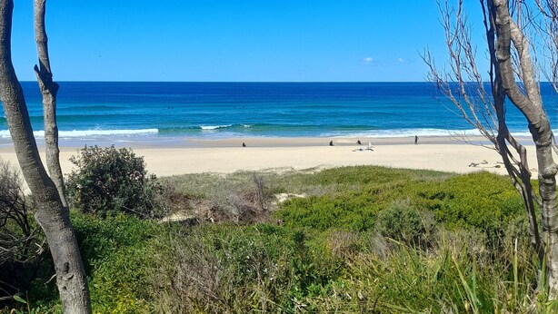 A beach with clear blue sky, sandy shore, and sparse vegetation.