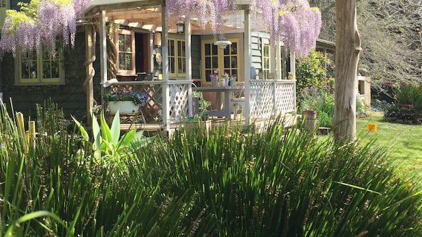 Een huis met een overdekte veranda, een tuin met hoog gras en paars bloeiende wijnstokken.