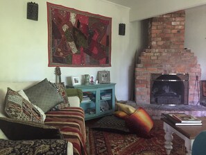 تلفزيون، مدفأة، كُتُب