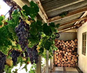 Property grounds - The Barn - a little bit rustic, a little bit luxe & little bit wild  (Penrice)