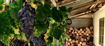 The Barn - a little bit rustic, a little bit luxe