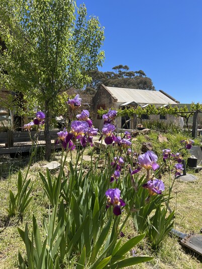 The Barn - a little bit rustic, a little bit luxe