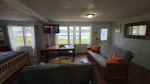 Televisie, videospelletjes, een tafeltennistafel en een stereo