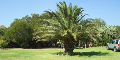 Serene Pastures: Ensuite Room 3 