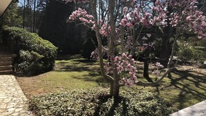 Ein Garten mit einem Baum, der rosa Blüten trägt, einem Kiesweg und einem Gebäude im Hintergrund.