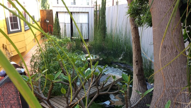 A garden with a wooden deck, a tree, and a white fence.