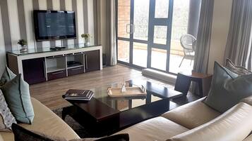 TV, DVD player, video library, stereo