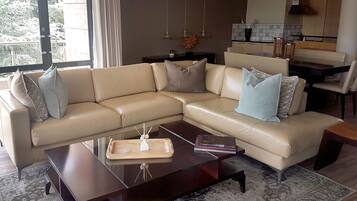 TV, DVD player, video library, stereo