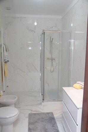 Regadera, secadora de cabello, bidet, toallas 