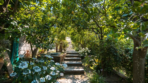 A stone staircase surrounded by lush greenery and flowering plants. - - VILLA FLAVIA apartment (Sant'Agnello)