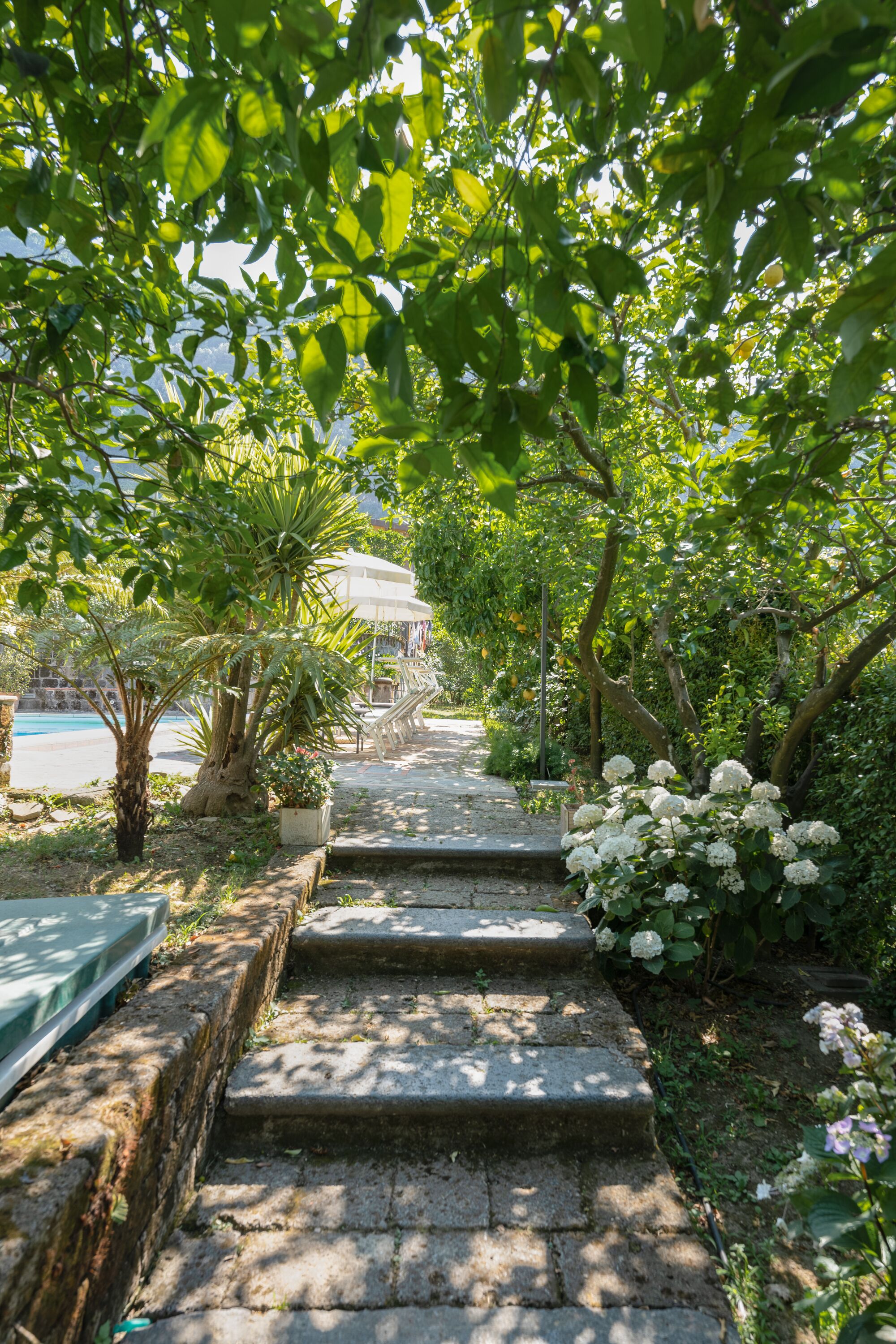 A stone pathway leading through a lush garden with various plants and a pool in the background.