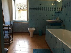 Combined shower/tub, hair dryer, bidet, towels