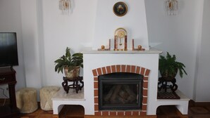 Een woonkamer met een open haard, een televisie en twee potplanten.