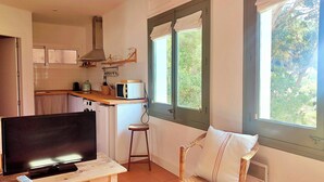Un espacio habitable compacto con kitchenette, televisor, silla de mimbre y ventana con vistas a la vegetación.