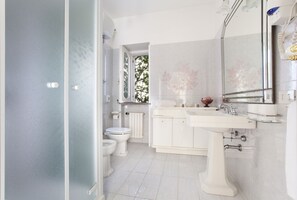 Shower, hair dryer, bidet, towels