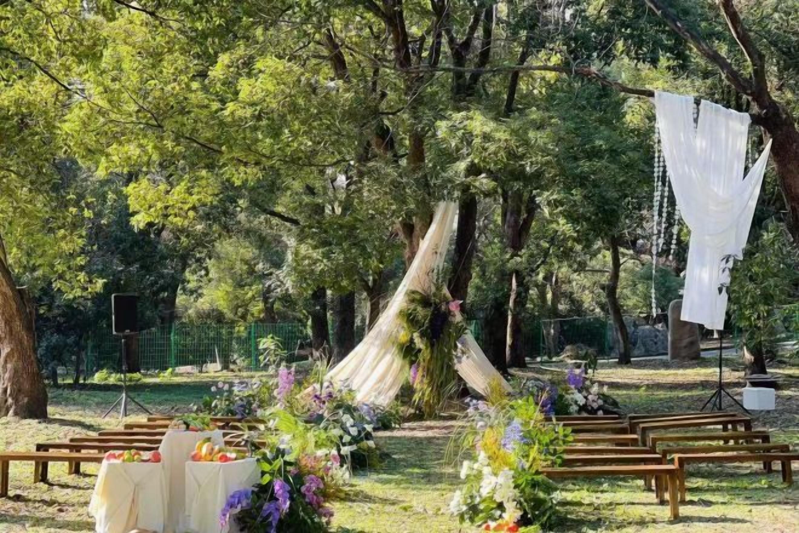 An outdoor wedding setup with wooden benches, floral arrangements, and a hanging white cloth.