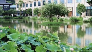 Een vredig vijver met lotusbloemen in de voorgrond, omringd door weelderige begroeiing en een traditioneel gebouw met grote ramen op de achtergrond.