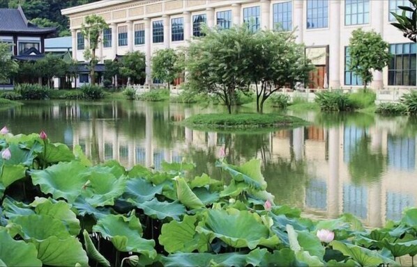 Un étang paisible, orné de fleurs de lotus au premier plan, entouré d’une végétation luxuriante et, au fond, un bâtiment traditionnel doté de grandes fenêtres.