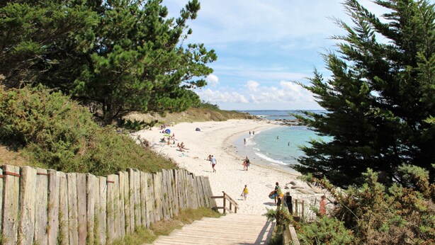 Una playa con un paseo de madera que lleva a la orilla, rodeada de pinos.