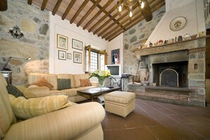 TV, fireplace, DVD player